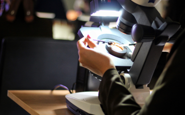 Jeweler services in Jacksonville, FL, for engagement rings and pendants