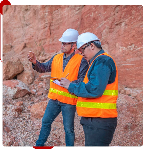 Change Management and Phased Rollout Support