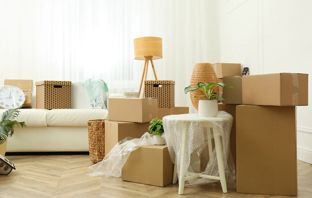 Divorce Transition Moves