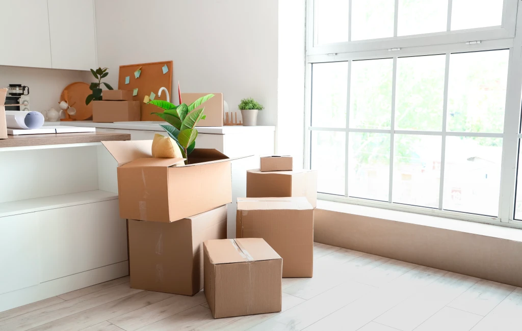Move Management Services Burlington