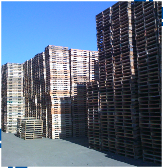 Staff inspecting reclaimed pallets for pallet recycling service