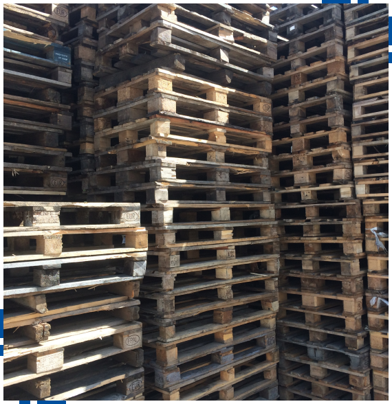Technician reviewing plans for custom pallet services in Colusa