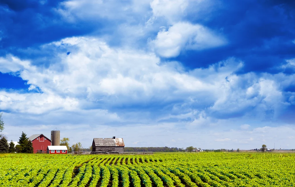 Farm Insurance Vaughan