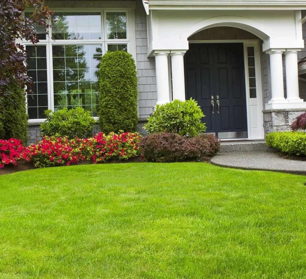 Lawn care services in Mississauga, GTA, for residential and commercial properties