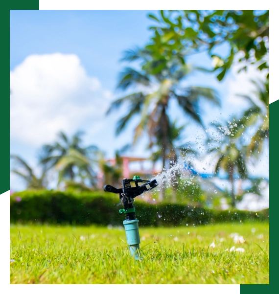 Lawn maintenance in Mississauga, GTA, for healthy and well kept outdoor spaces