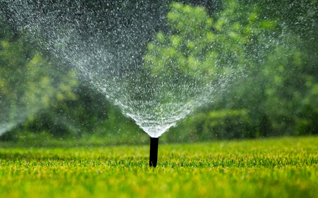 Lawn care services in Mississauga for healthy residential landscapes