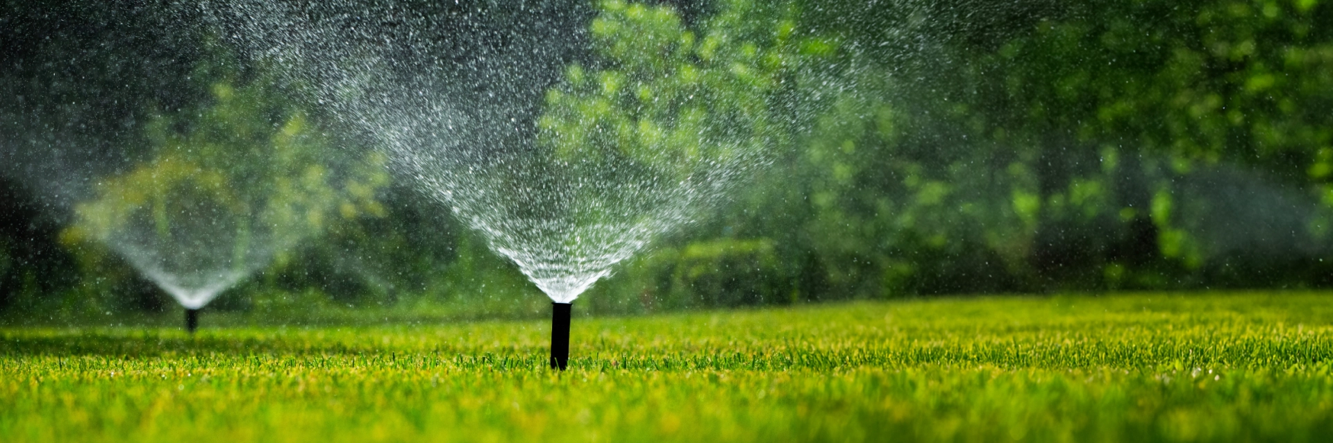 Lawn care services in Mississauga for healthy residential landscapes