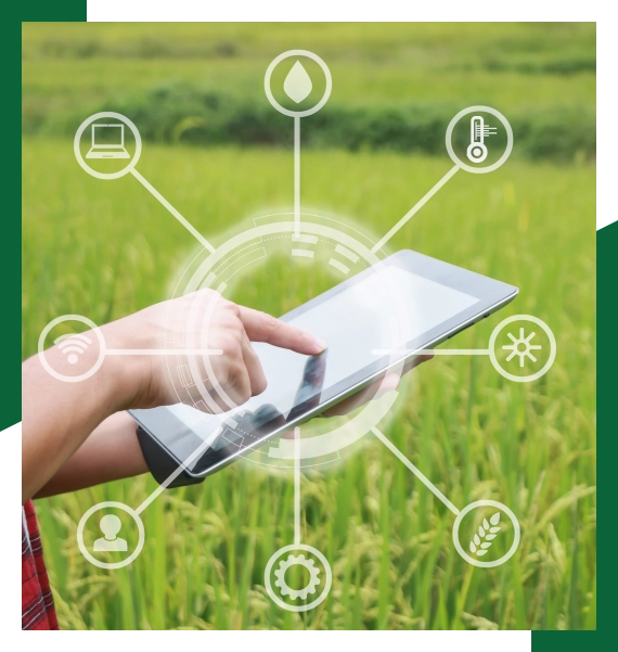 Irrigation system installation services in Mississauga with durable sprinkler components