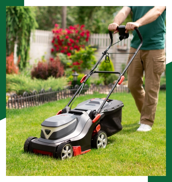 Seasonal lawn care services in Mississauga for year round lawn health