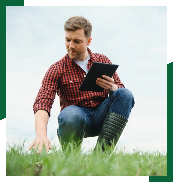Seasonal lawn care services in Mississauga for seasonal turf maintenance