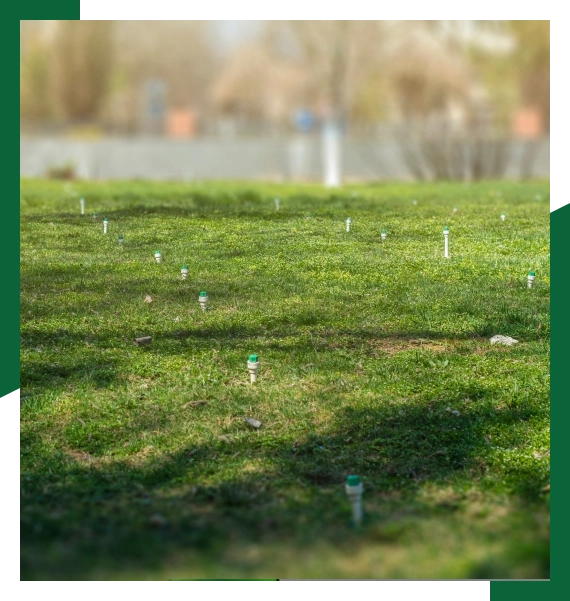 Seasonal lawn care services in Mississauga for seasonal irrigation adjustments