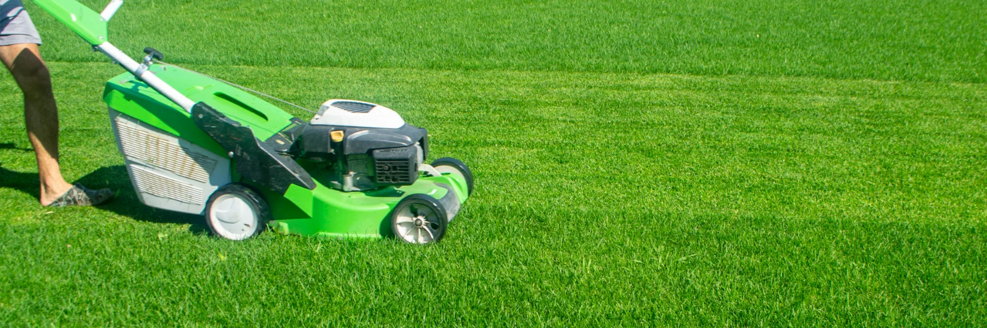 Seasonal lawn care services in Mississauga for spring landscape preparation