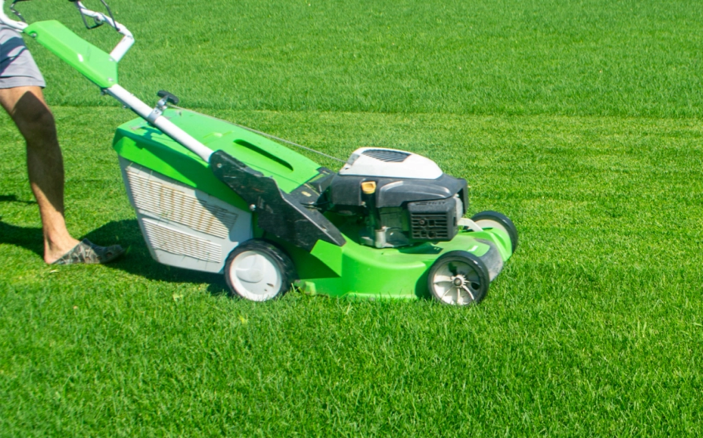 Seasonal lawn care services in Mississauga for spring landscape preparation