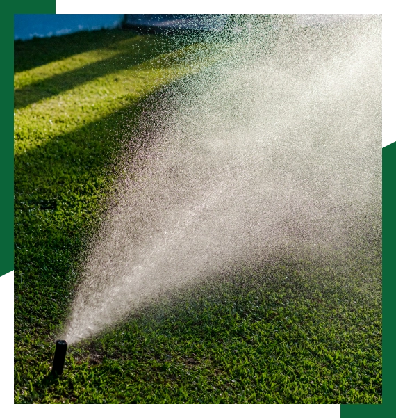 Landscaping services in Oakville for functional outdoor layouts
