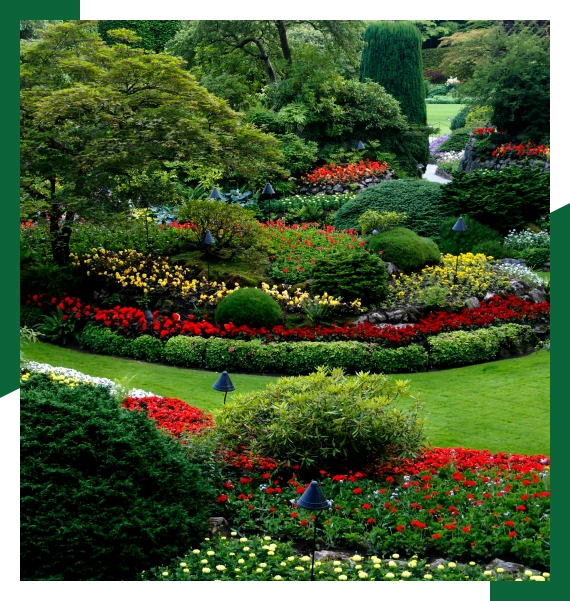 Lawn repair in Mississauga for high traffic lawn recovery