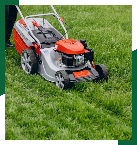 Residential and commercial landscaping in Mississauga for long term property stability