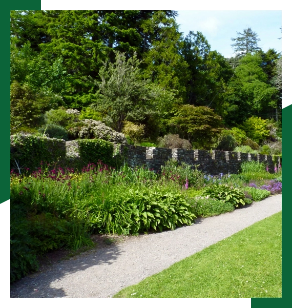Lawn repair in Mississauga for root zone strengthening and regrowth support