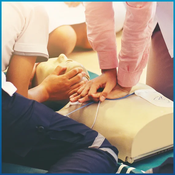 First Aid Training Courses Whippy