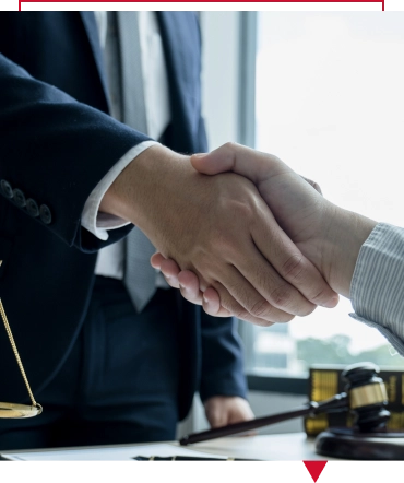 Medical Legal Consulting Expert Witness