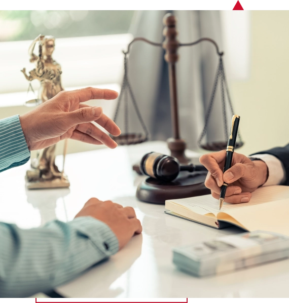 Medicolegal Consultancy Services