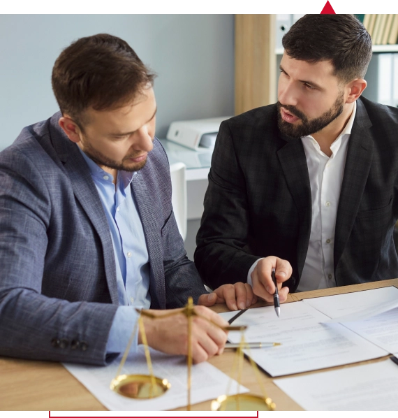 Medicolegal Consultancy Services