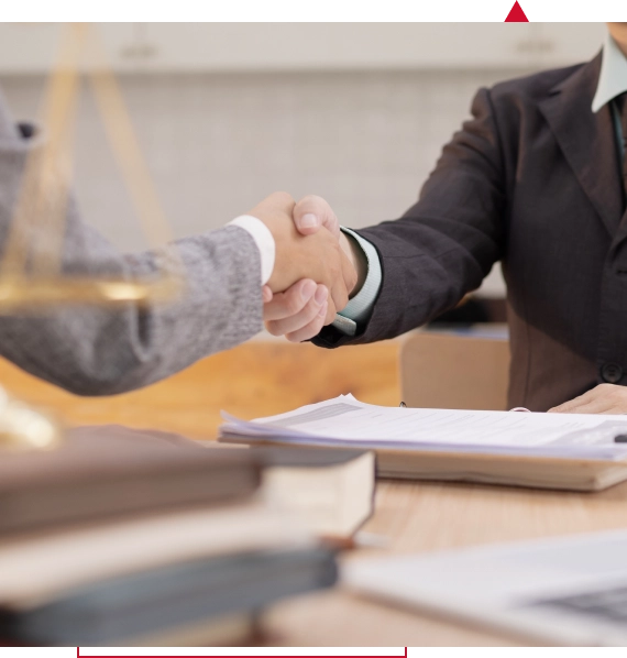 Medicolegal Consultancy Services