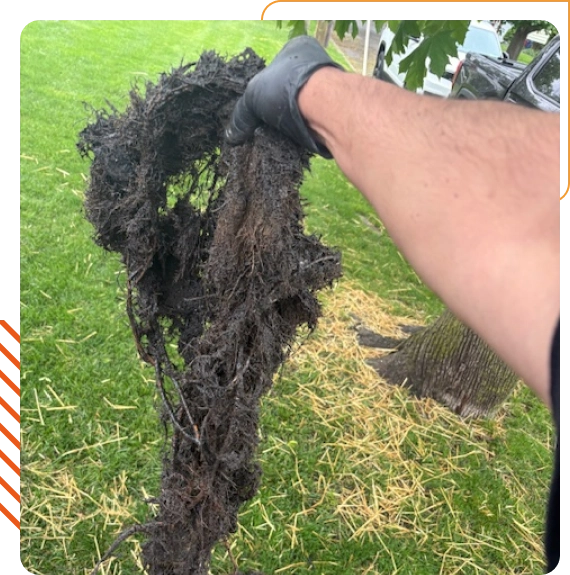 Understanding the Importance of Regular Drain Cleaning in Lockport, NY