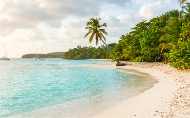 Dominican Republic
