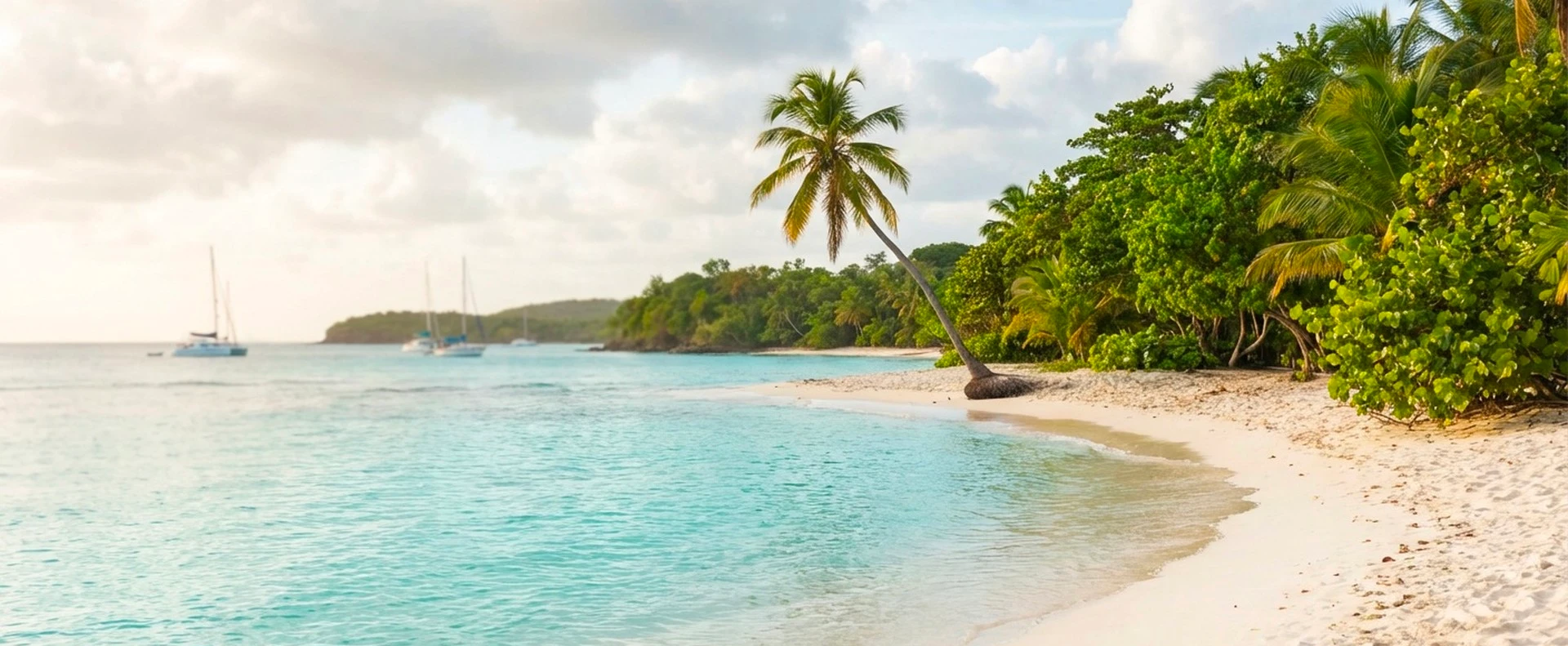 Resort Membership Process