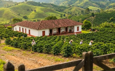 Colombia 