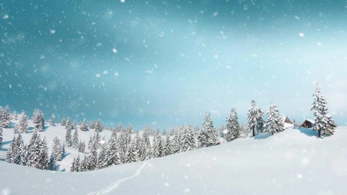 Canadian Immigration & Global Recruitment