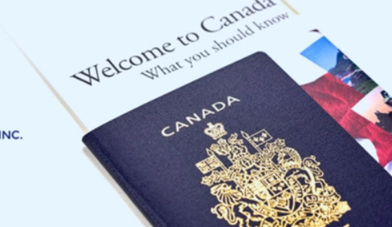 Permanent Immigration Services