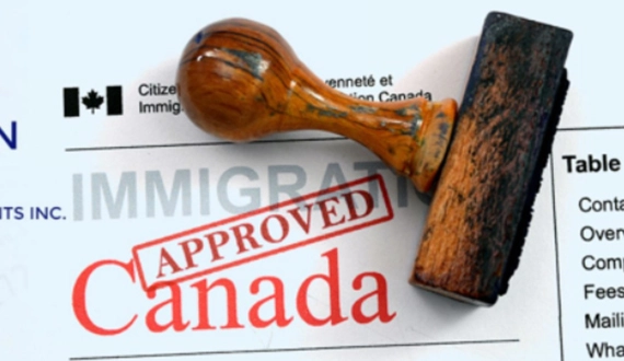 Temporary Immigration Services