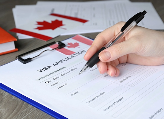 How Ann Arbour Can Help You Succeed