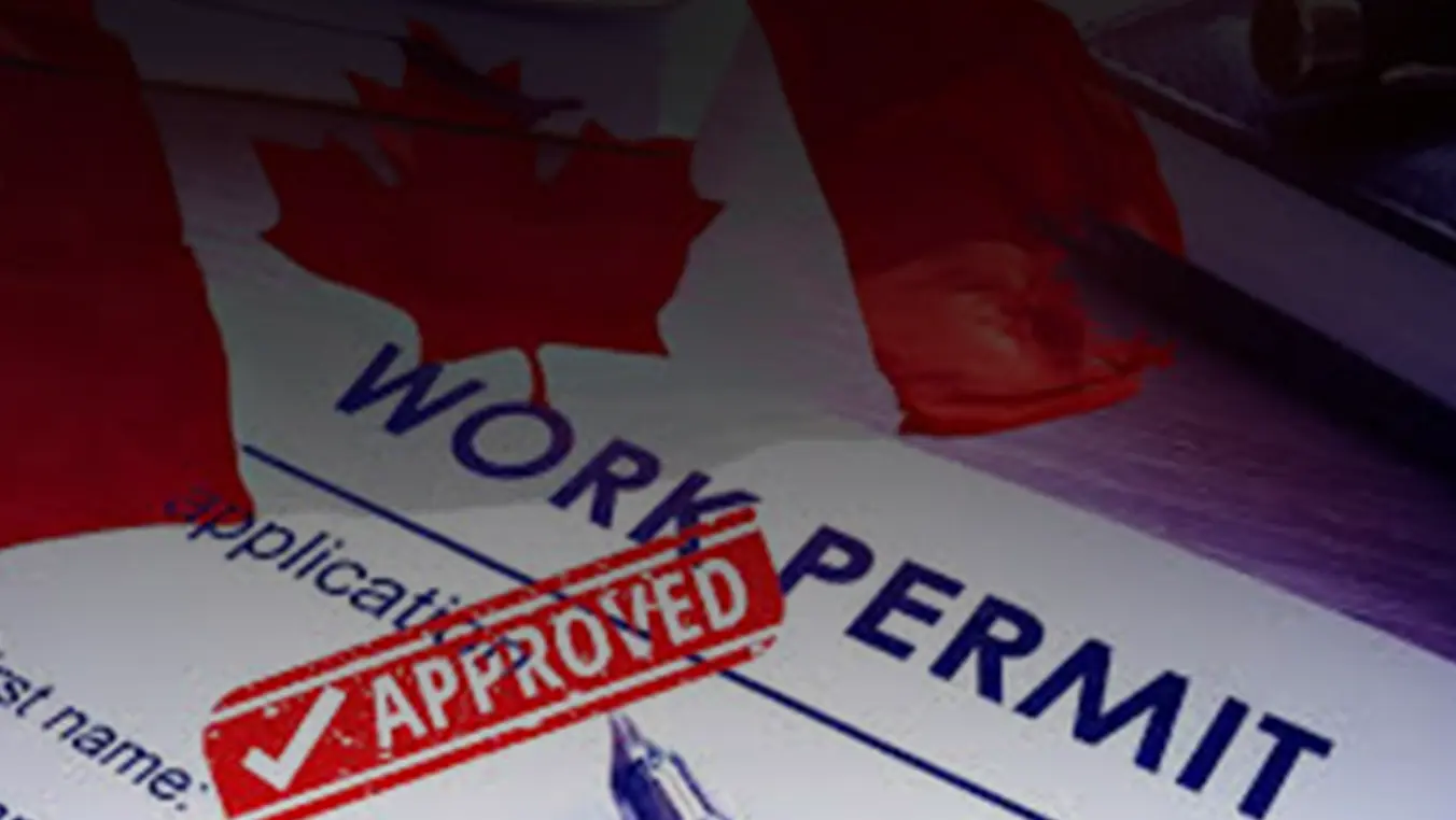 Lmia-based Work Permits for Employees