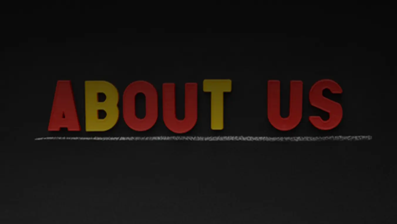 About Ann Arbour Consultants INC.