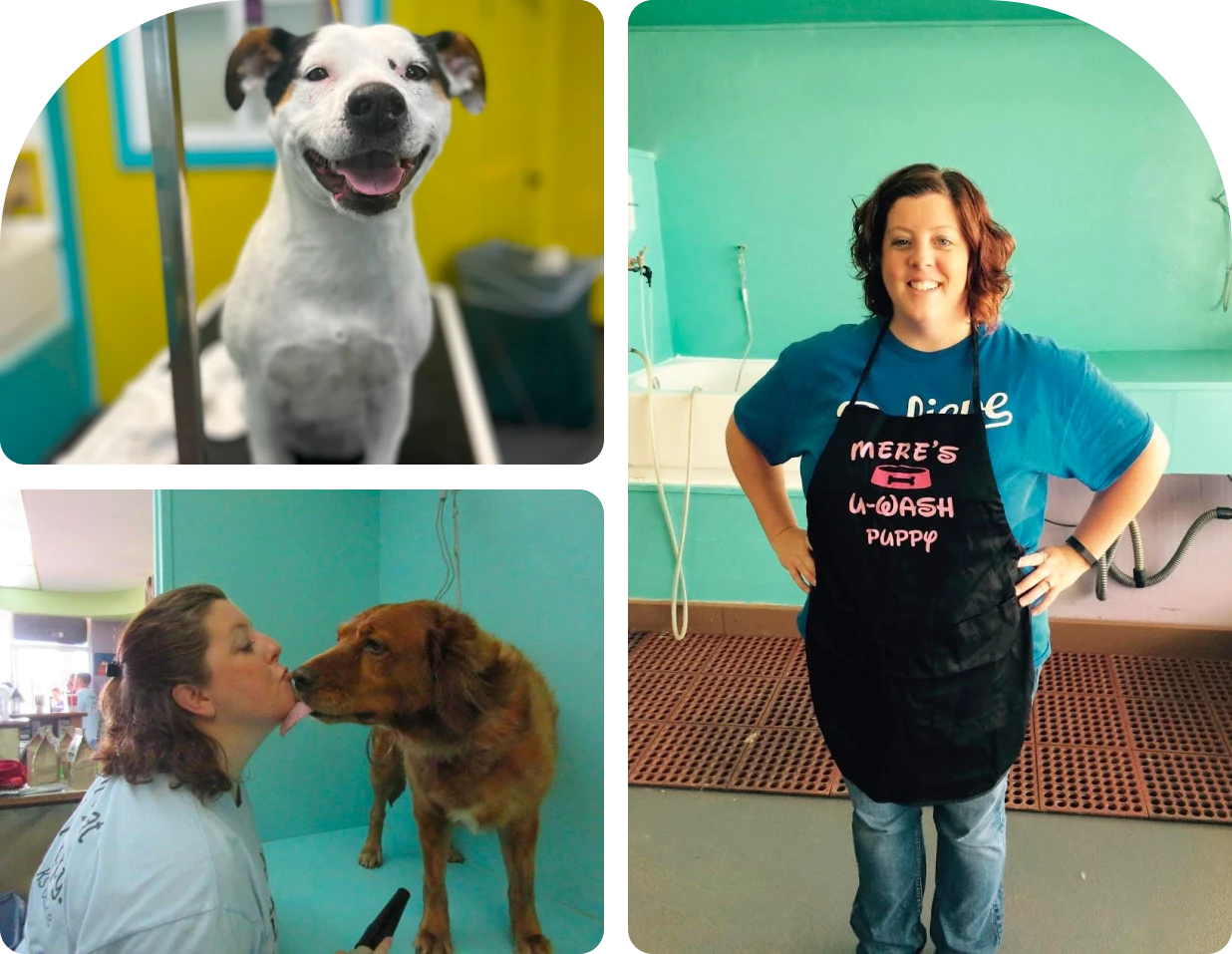 Dog Groomers Kansas City