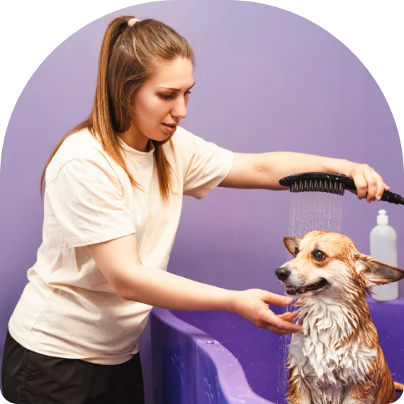 Self-Service Dog Wash
