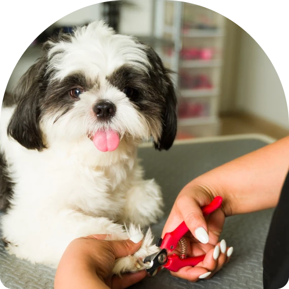 Walk-In Nail Trims