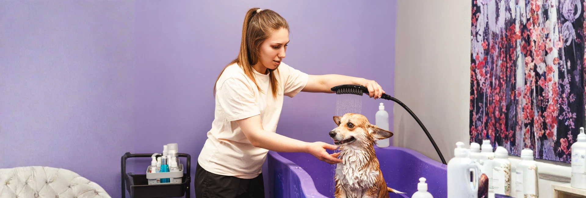Self Service Dog Wash Kansas City