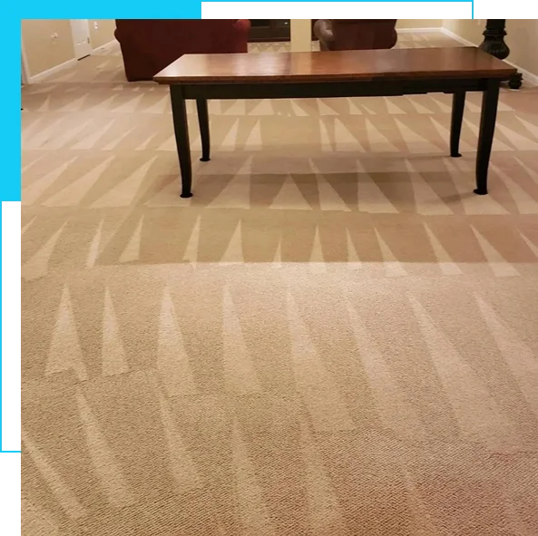 Commercial encapsulation carpet cleaning in Gainesville, Prince William County with low moisture methods