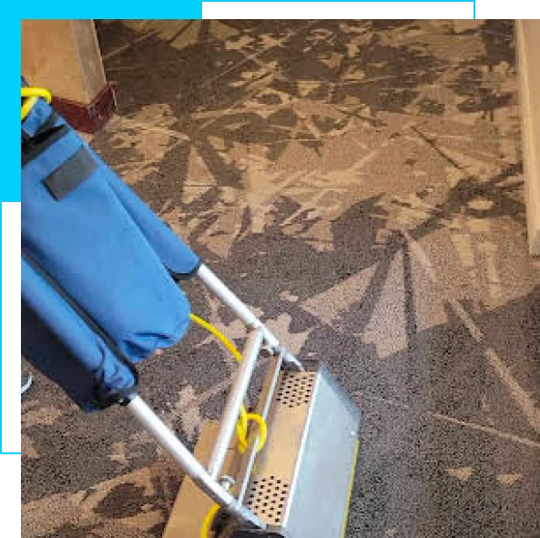 Home page highlighting professional carpet care solutions