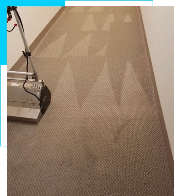 Cleaner in Gainesville, Prince William County working in active facilities