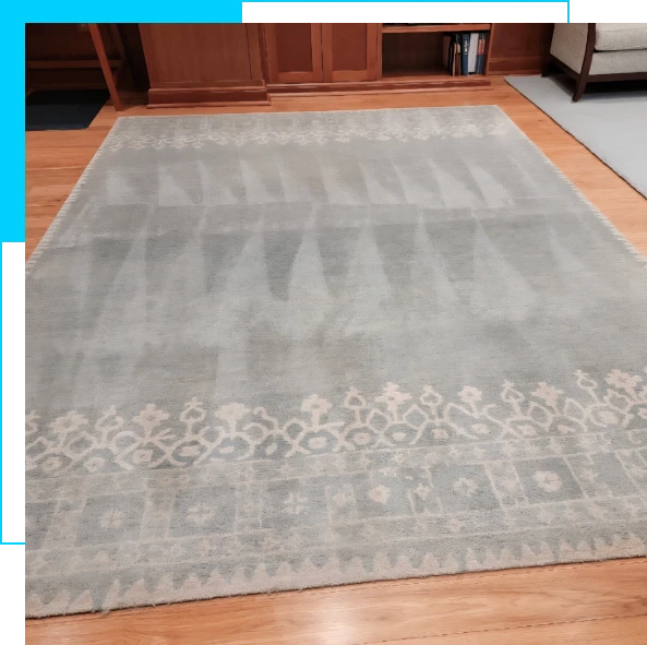 Carpet cleaning services in Gainesville, Prince William County for routine maintenance programs