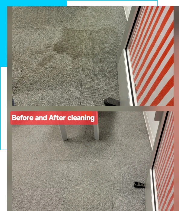 Building services in Falls Church, VA supporting active interiors