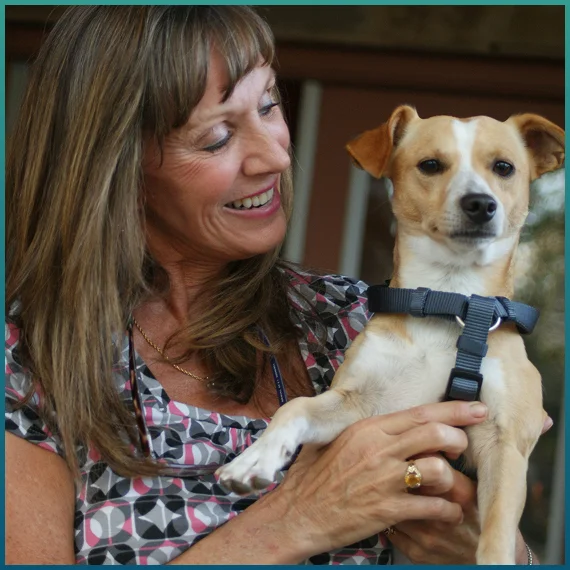 Holistic Pet Care