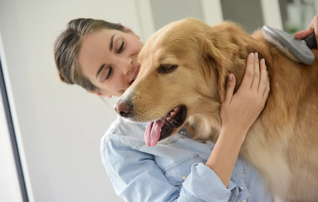 Animal Communication Services
