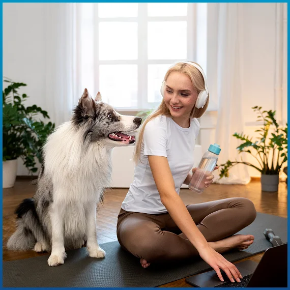 Energy healing for pets services