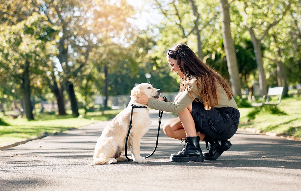 Pet Behavioral Consulting