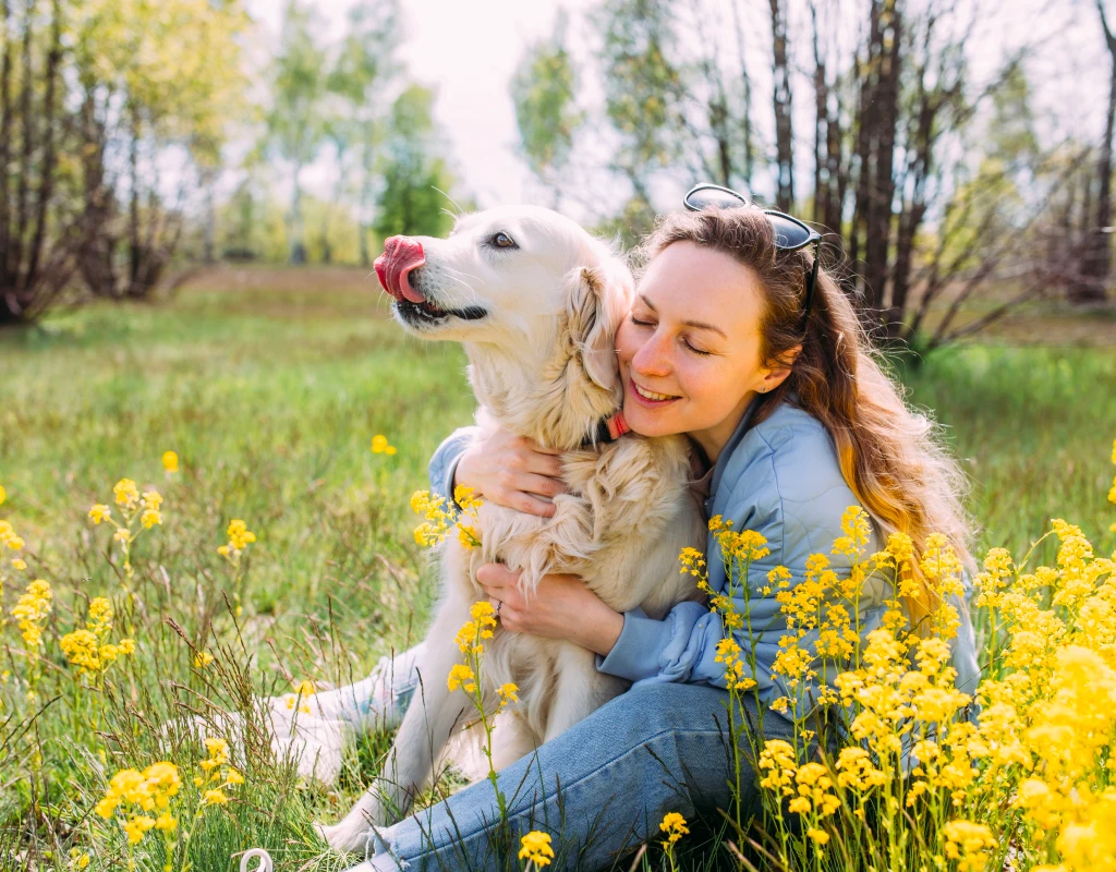 Pet Wellbeing Services